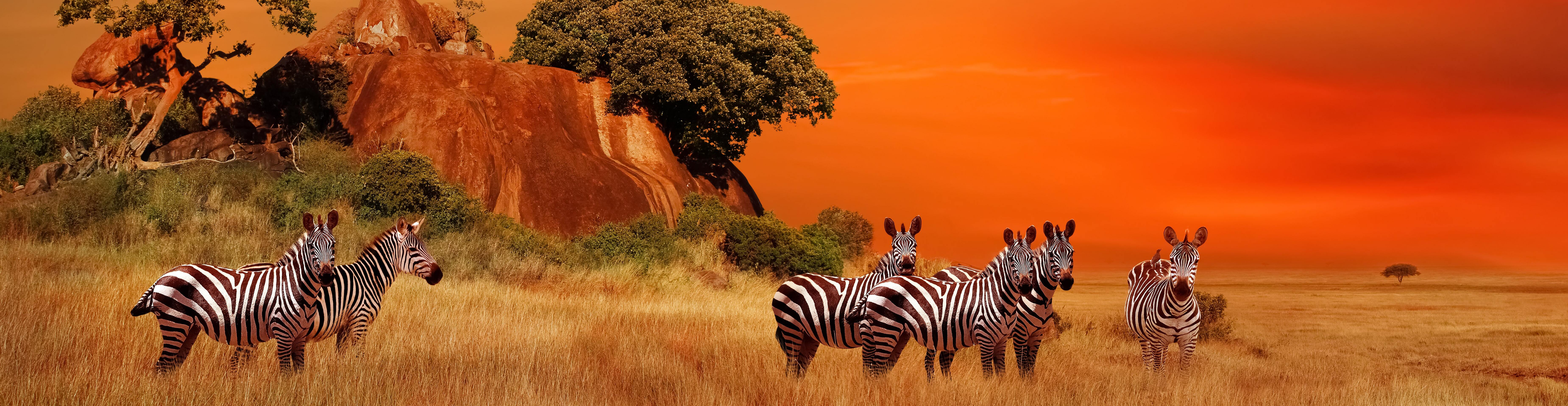 tour_categories/africa_tours-min_1-min.jpg